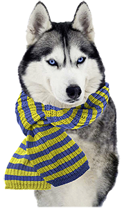 Raab und Thiele Husky